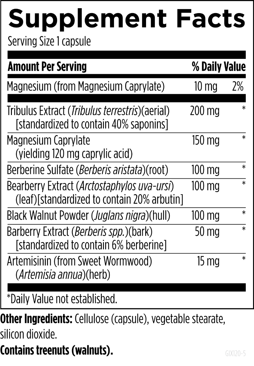 Dysbio Plus